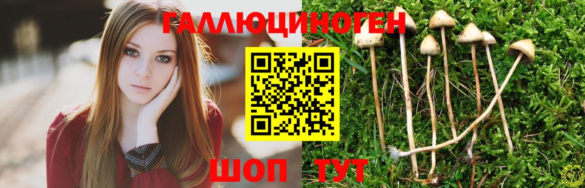 Галлюциногенные грибы мухоморы  Вход с VPN  Назарово 